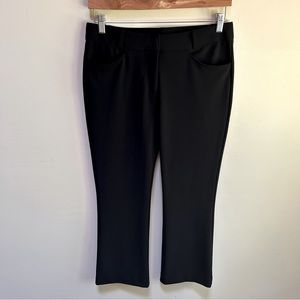 Boston Proper ~ Travel Stretch Jet Black Pants in Small